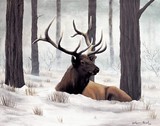 by Heather Farmstead