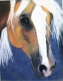 by Michele Turney