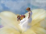 by Sarah Lou
