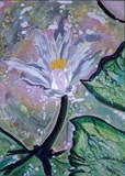 by Annette Michelle Allwood
