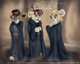 by Meri Pitkänen