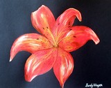 by sandy wager