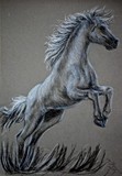 by elizabeth clausen