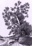 by Janardanan Prabhakar