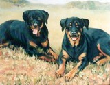 by Carolyn Taylor