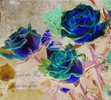 by Patricia Griffin Brett