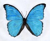 by Klara Luise Maxeiner