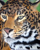 by Lorinda Case