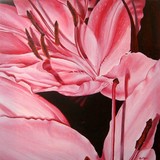 by Melanie Stevens