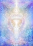 by Daniel B. Holeman