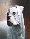 by Art Landerman