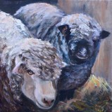 by Joan  Wulff