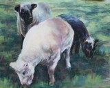 by Joan  Wulff