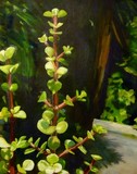 by Kathy Schoeppner