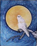 by Jan Howlett
