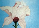by Rachel McReynolds