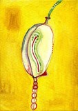 by mirella musri