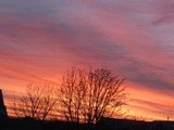 by Debra Kott