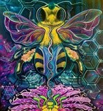 by Charlene lofgreen