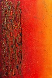 by jan farthing