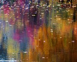 by John Steedle