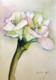 by Hedwig Pen