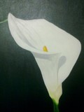 by Cathy Jordan