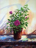 by Amani Al Hajeri
