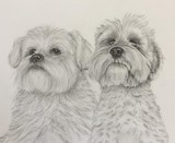 by Stacey Makar