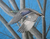 by Rick Yanke