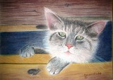 by Margaret Oringderff