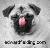 by Edward Fielding