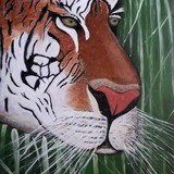 by Nicole Lee