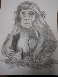 by refael degorker