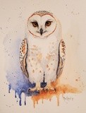 by Christine Cholowsky