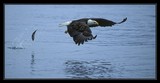 by Harry Eggens