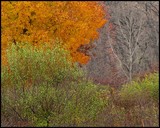 by craig moline