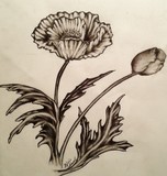 by Kellie C.