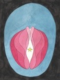 by Sandro Cocco