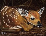 by John Houle