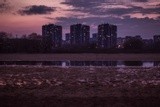 by Mikhail Nikonov