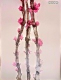 by Christine Selmon