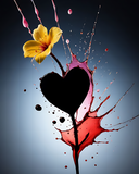 by Mihaela B