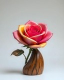 by Mihaela B