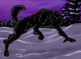 by Angelus Areulous