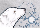by Emma-Jayne Saanen