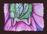 by Amber Larimore