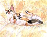 by Yvonne Carter