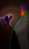 by Phillip Owen