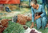 by ghafar bahari